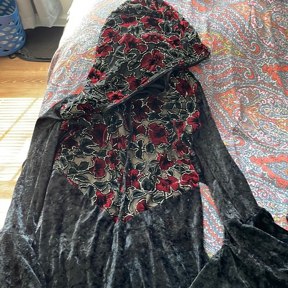 Vampire or Medieval Velvet Dress with Hood and Beading One Size - Picture 1 of 6